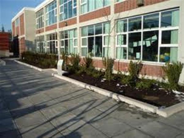 York House School